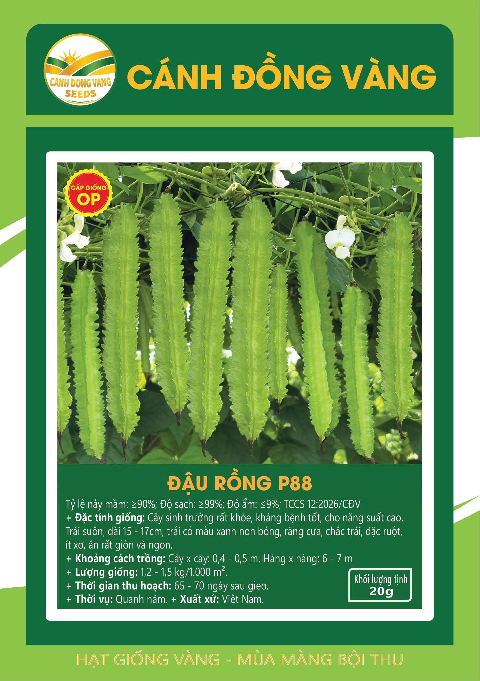 ĐẬU RỒNG P88
